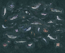 Фотообои море Factura FAUNA MARINE LIFE 4